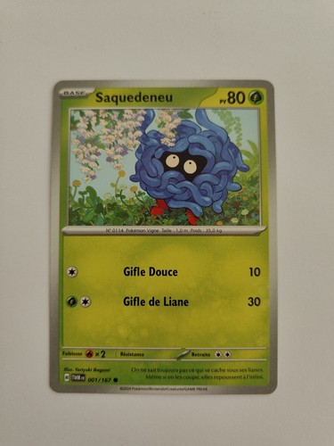 Carte pokémon saquedeneu - pokémon,