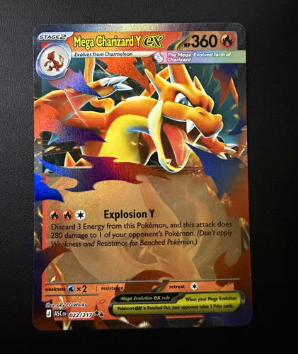 The pokémon company mega - pokémon,