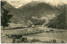 (B3860) c.ill.  MULES ann