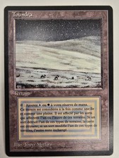 Tundra French FBB Foreign