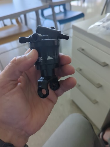Fox shapeshifter per - fox, 1.0