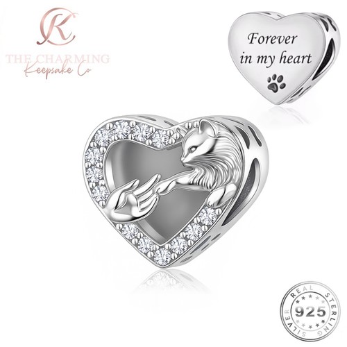 Charm ricordo gatto argento