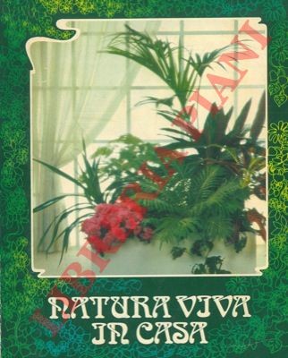 Floricultura natura viva in - natura,