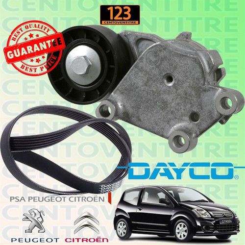Cinghia servizi poly - poly-v, +