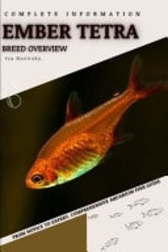 Ember tetra from novice - tetra, to