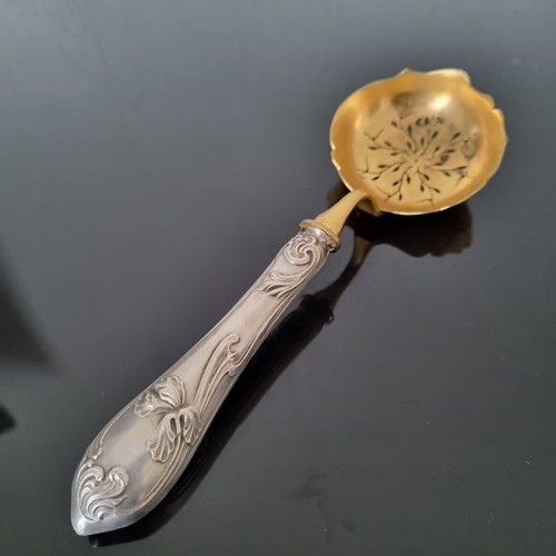 Cuillère saupoudreuse 1900 - cuillère,