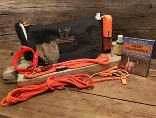 Pointer puppy starter training - puppy,