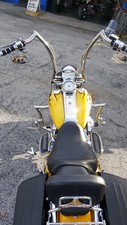 POLISHED STAINLESS ape