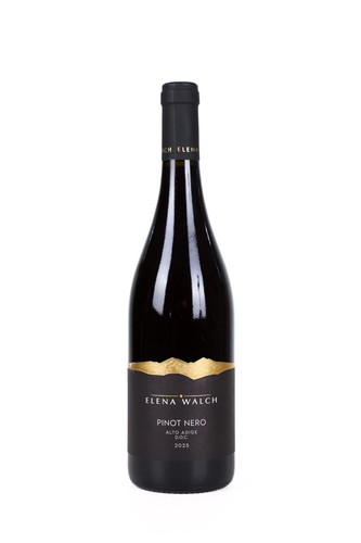 Pinot nero alto - nero, adige