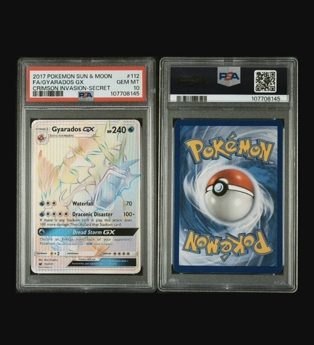Pokemon gyarados secret - pokemon,