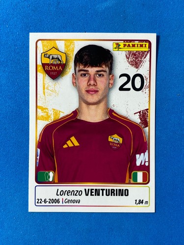 Figurine calciatori panini - figurine,