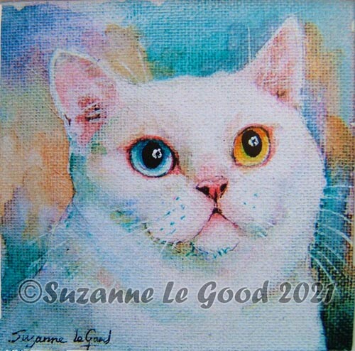 British shorthair cat art - british,