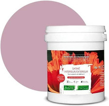 Pittura Naturale Ecologica per