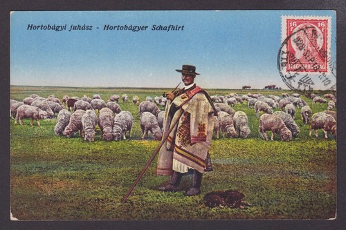 Ungheria 1916 cartolina - ungheria,