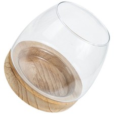  Acquario Da Scrivania Vasca