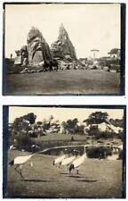 Lotto di due piccole foto originali di Roma Giardino zoologico Maggio 1911  S567
