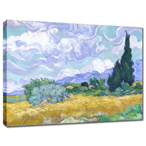 Campo grano cipressi di - grano,