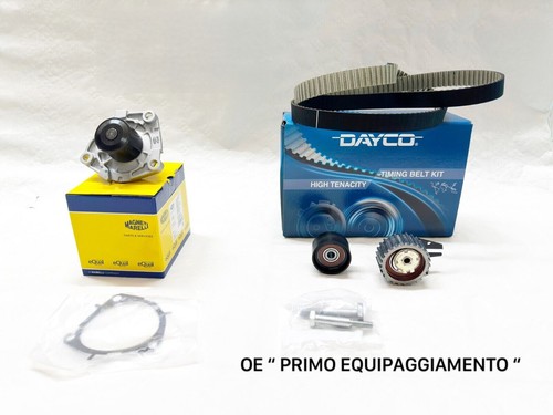 Kit distribuzione pompa - distribuzione, +