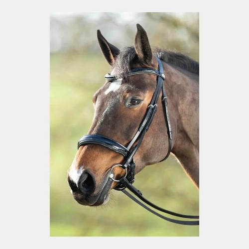 Hfi testa di - hfi, cavallo