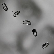 Vinile Peter Gabriel - Up (2