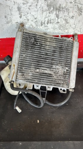 Radiatore completo piaggio - completo,