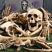 Ossa miste in un sacco XL - di plastica