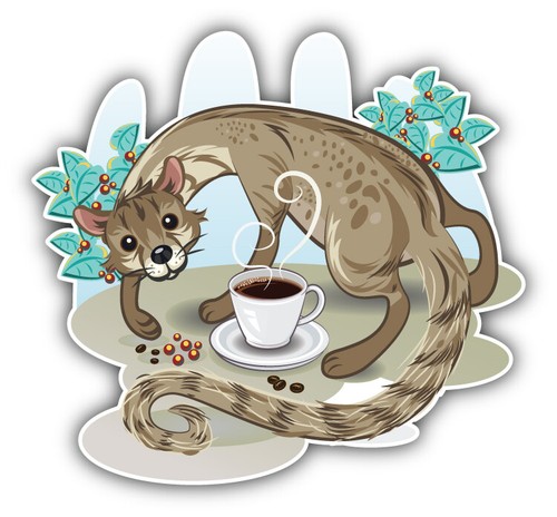 Adesivo auto caffè zibet - , kopi