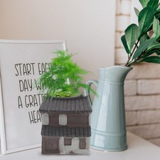  Acquario Paesaggistica Casa