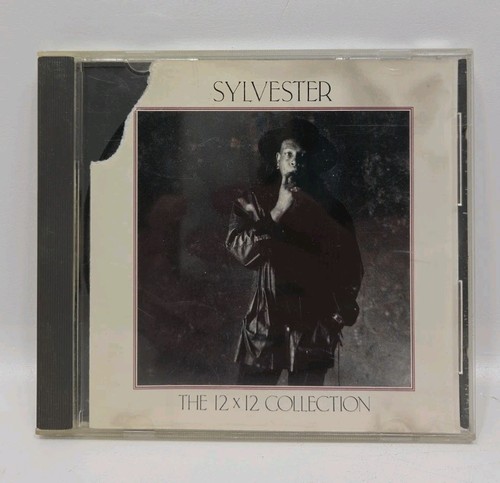 Sylvester the 12x12 - sylvester,