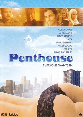 The penthouse new - pal, cult