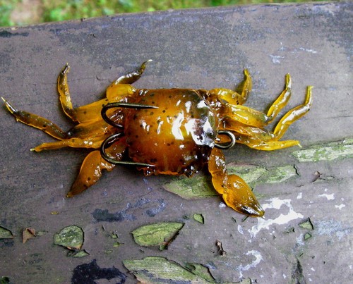 Esca pesca gancio - pesca,