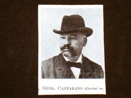 Onorevole gugl cantarano - onorevole,