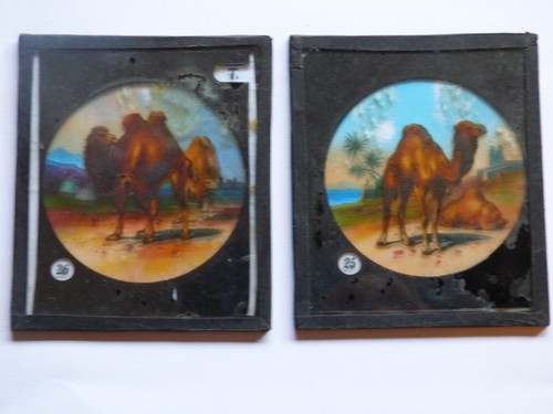 Lot anciennes plaques de - lot,