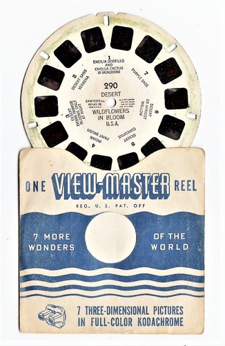 View master desert wildflowers - view,