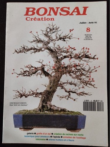 Bonsai création du - création,
