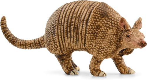 Wild life armadillo - life, 14874