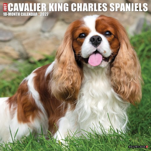 Calendario parete cavalier - da,
