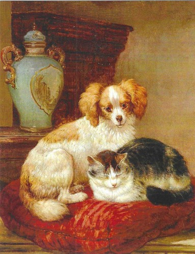 Nuova cartolina cani museo - nuova,