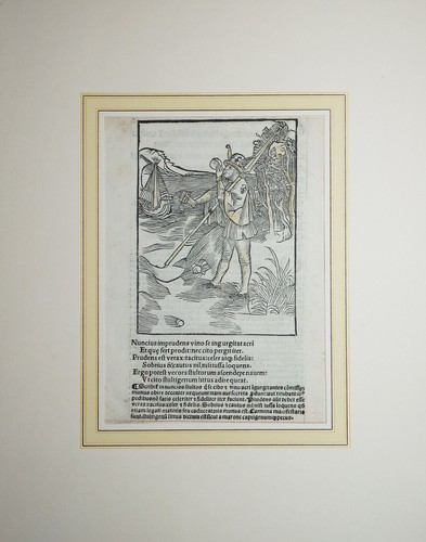 Nave sciocca stultifera - sciocca, navis