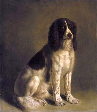 Oil painting nice animal dog