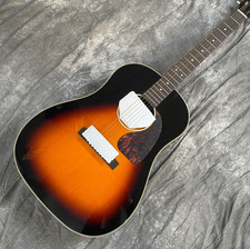 Chitarra elettrica acustica