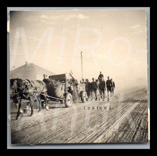 Foto ww2 campagna - ww2,, di