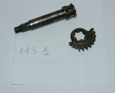 ALBERO MESSA IN MOTO TREE