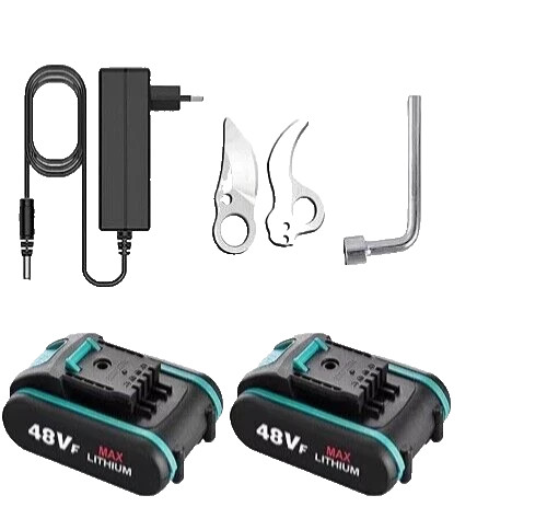 Batteria 48v litio per - batteria,