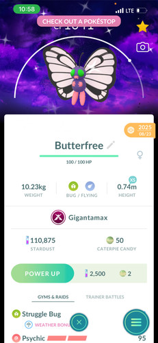 Shiny gigantamax senza burro - senza,