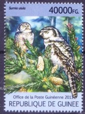 Guinea 2013 MNH, Northern