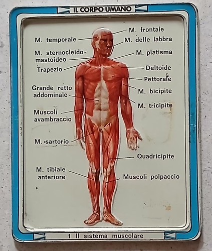 Placca metallo corpo umano - placca,