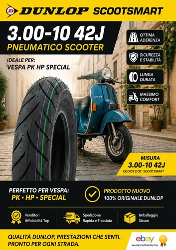 Coppia gomme 300 - 3-00, 10