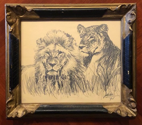 Disegno matita con - a,