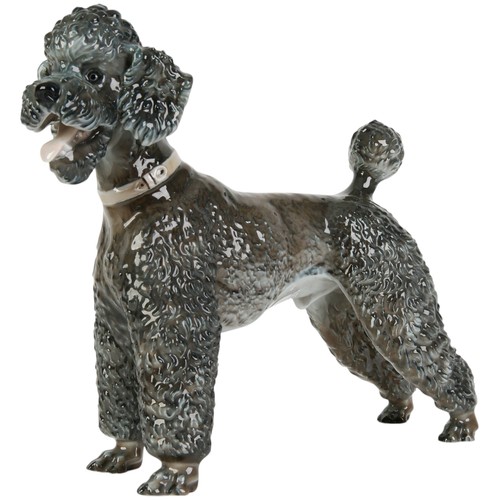 Porcelain figure poodle - porcelain, "poodle"